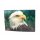 3D Postkarte Weißkopfseeadler