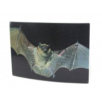3D Postkarte Fledermaus